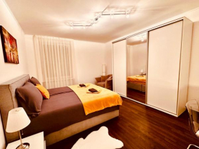 Apartment in Centre of Zagreb - Lions Den